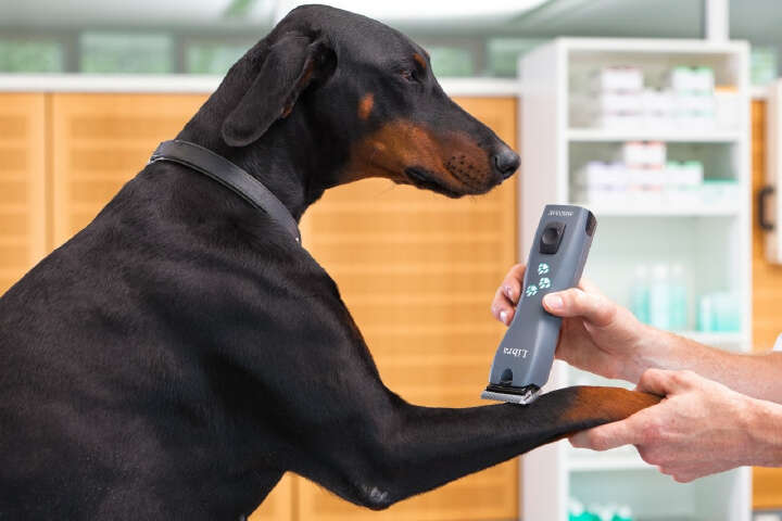 AESCULAP Akkuschermaschine LIBRA